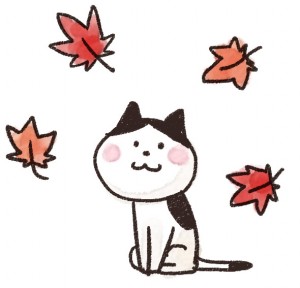 kouyou_cat