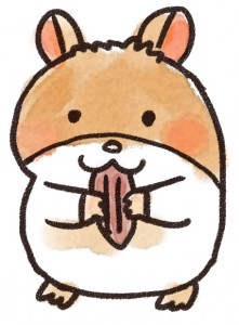 animal_hamster